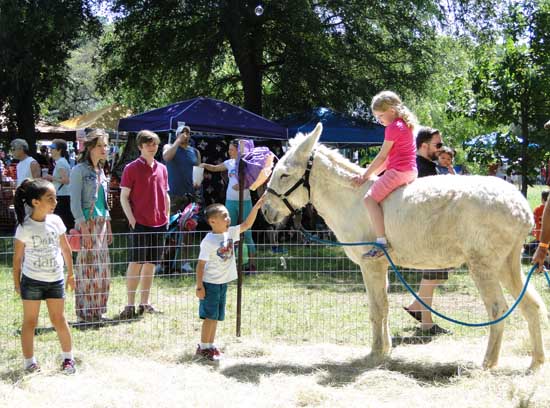 Meeting Eeyore